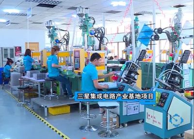 市領導調研文登，走訪家電企業共話發展